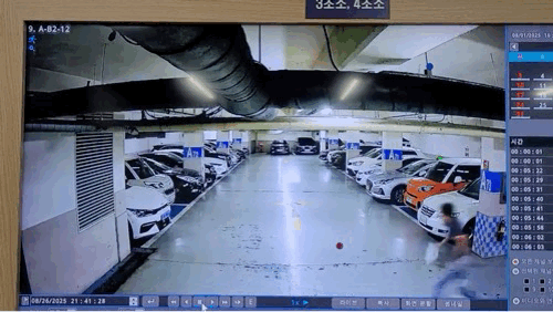 아파트 지하주차장서 중기 대표 납치한 일당…"살해 고의 없어"