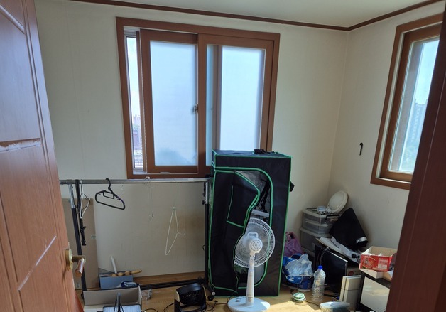 태국서 '대마씨앗' 들여오던 프리랜서 만화 작가, 공항서 체포