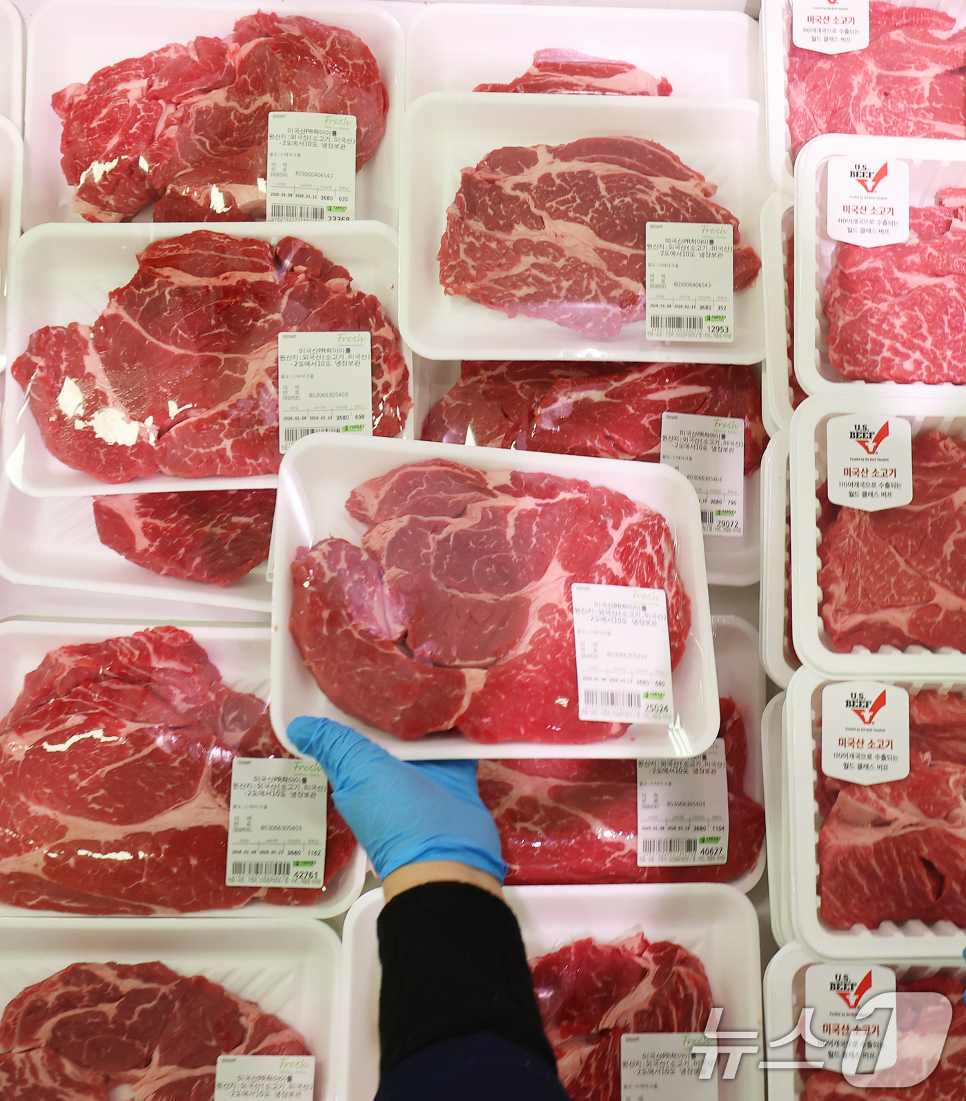 (서울=뉴스1) 오대일 기자 = 올해부터 소고기, 우유, 감귤 등 미국에서 수입하는 농축산물 45종의 관세가 0%로 조정됐다. 농림축산식품부는 지난 2012년 발효한 한미 자유무역 …