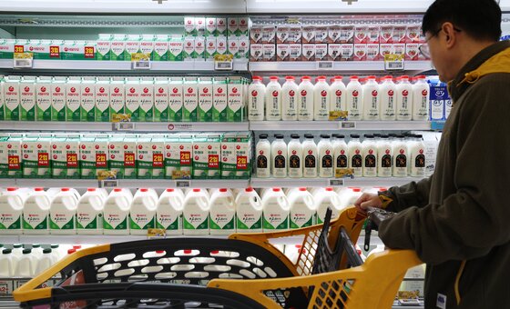본문 이미지 - 한 대형마트에서 고객이 서울우유 제품을 고르는 모습. 2026.1.8/뉴스1 ⓒ News1 오대일 기자