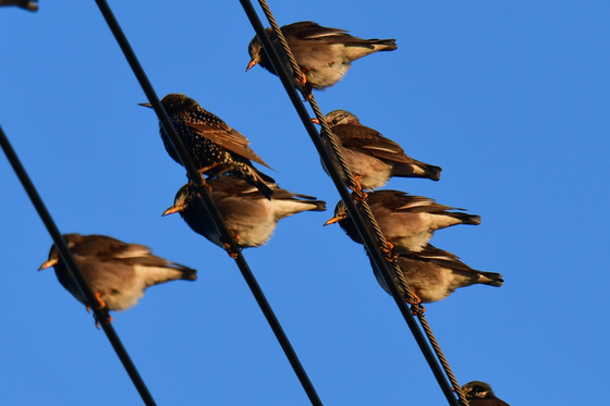 [오늘의 날씨] 대구·경북(9일,금)…낮부터 기온↑, 최고 4~9도