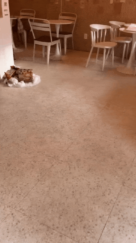 본문 이미지 - 가족들을 보고 반가워하는 니루(인스타그램 @minggijeok223 제공) ⓒ 뉴스1