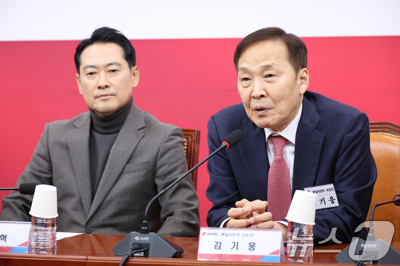 (서울=뉴스1) 신웅수 기자 = 김기웅 위원장이 8일 서울 여의도 국회에서 열린 통일위원회 1차 전체회의에서 발언하고 있다. 2026.1.8/뉴스1