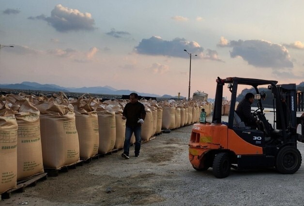 진도군, 공공비축미 특등 비율 3년 연속 '전국 1위'