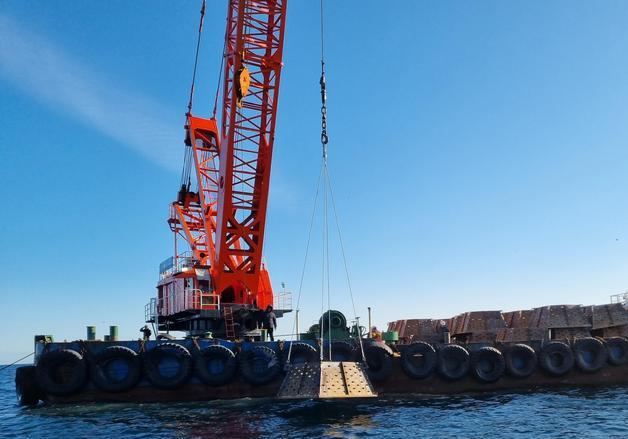 양양 해삼 양식 인프라 확충 성과…생산량 8600㎏ 넘어