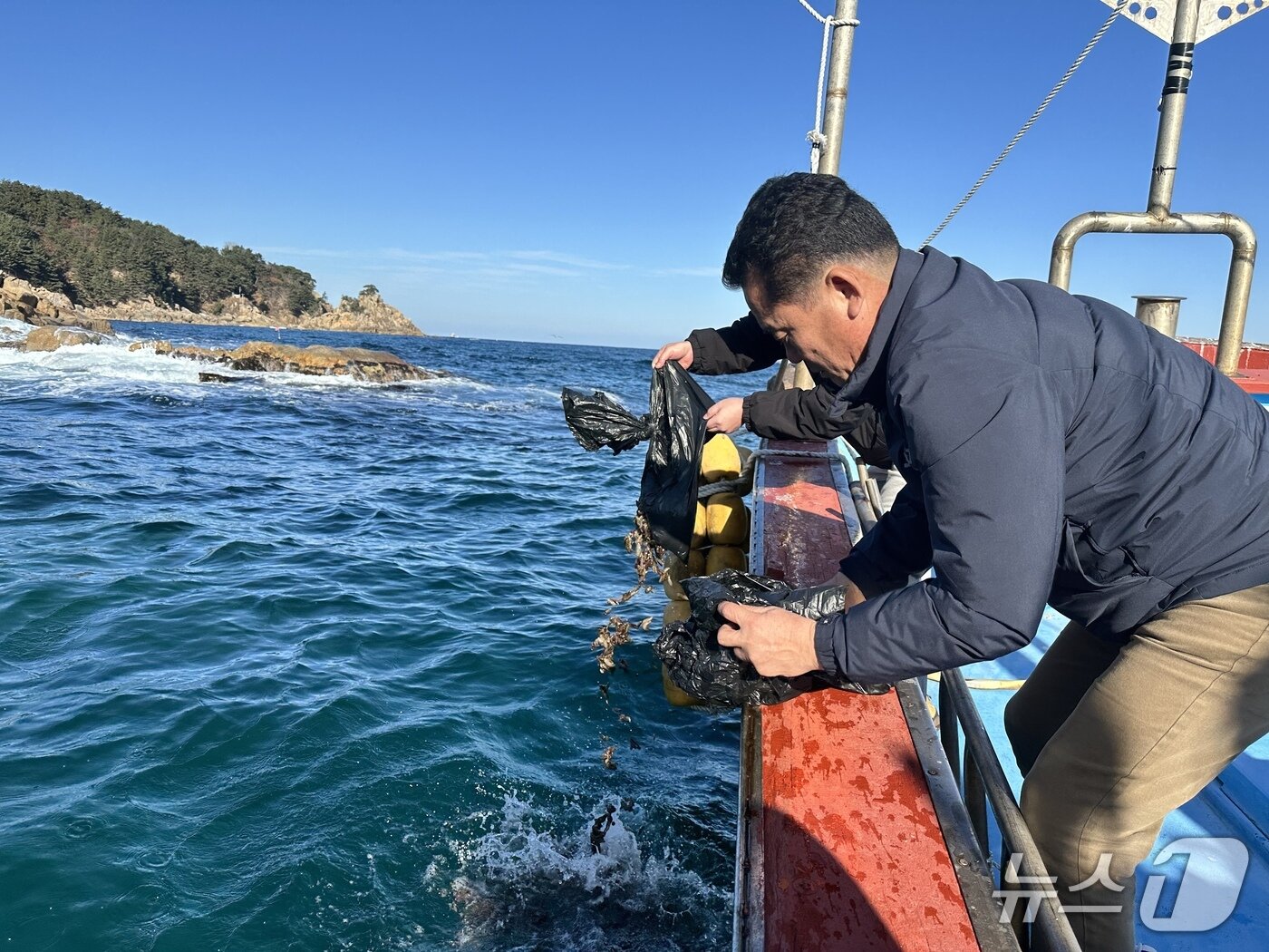 본문 이미지 - 해삼 방류.(양양군 제공, 재판매 및 DB 금지) 2026.1.8/뉴스1