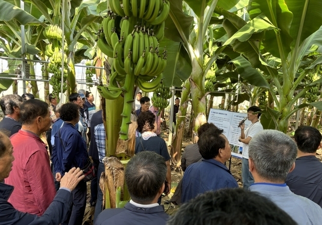 포항농기센터, 농촌지도·기술 보급 시범사업 추진