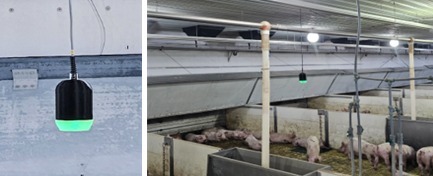 농기평, AI 접목 돼지 질병 조기 진단기술 등 18건 신기술 발굴