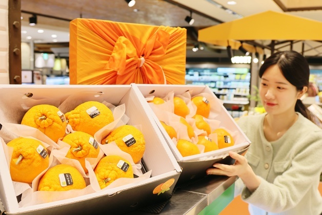 롯데백화점 대구·상인점, 25일까지 설 선물세트 예약 판매