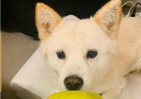 김동연 "장동혁 사과, 尹 개사과 비슷…김병기 결자해지, 당도 단호하게"