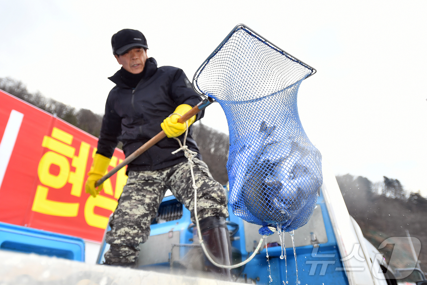 (화천=뉴스1) 한귀섭 기자 = 2026 얼음나라 화천산천어축제 개막을 하루 앞둔 9일 오전부터 축제가 열리는 화천천에 축양장에서 수온 적응을 마친 산천어들이 방양되고 있다.(화천 …