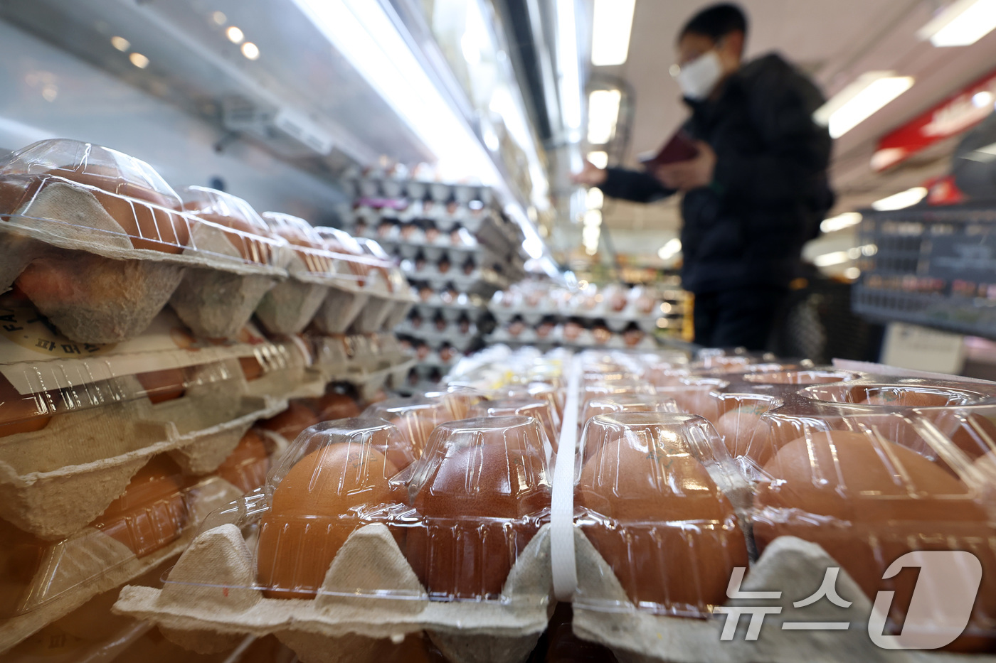 (서울=뉴스1) 구윤성 기자 = 9일 서울의 한 대형마트 달걀코너에서 한 시민이 달걀을 고르고 있다.농림축산식품부는 설 명절을 앞두고 축산물 물가 안정을 위해 돼지고기와 계란 할인 …