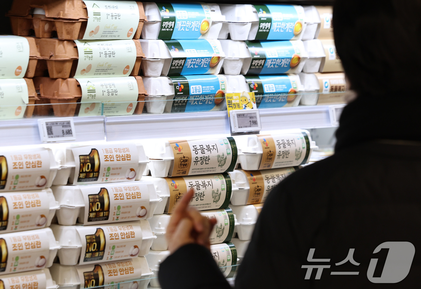 (서울=뉴스1) 구윤성 기자 = 9일 서울의 한 대형마트 달걀코너에서 시민들이 달걀을 고르고 있다.농림축산식품부는 설 명절을 앞두고 축산물 물가 안정을 위해 돼지고기와 계란 할인 …