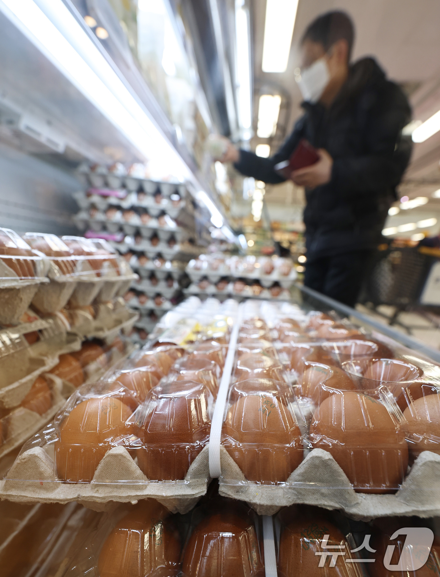 (서울=뉴스1) 구윤성 기자 = 9일 서울의 한 대형마트 달걀코너에서 한 시민이 달걀을 고르고 있다.농림축산식품부는 설 명절을 앞두고 축산물 물가 안정을 위해 돼지고기와 계란 할인 …