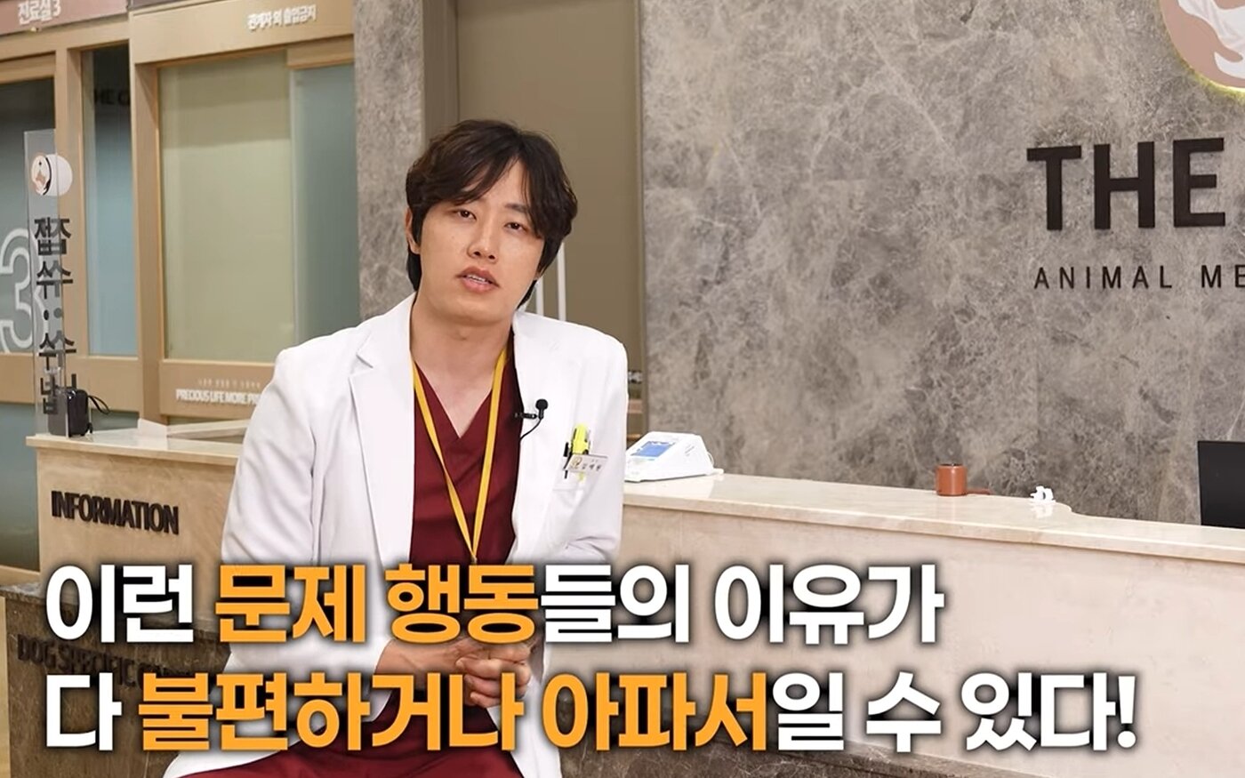 본문 이미지 - 김예원 더케어동물의료센터 대표원장이 최근 병원 유튜브에 출연해 반려동물의 성격 변화를 유발하는 질병에 대해 소개했다(유튜브 갈무리). ⓒ 뉴스1