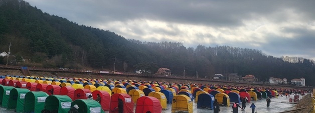 "얼음낚시, 맨손으로 잡기"…반가운 겨울 '평창송어축제' 개막