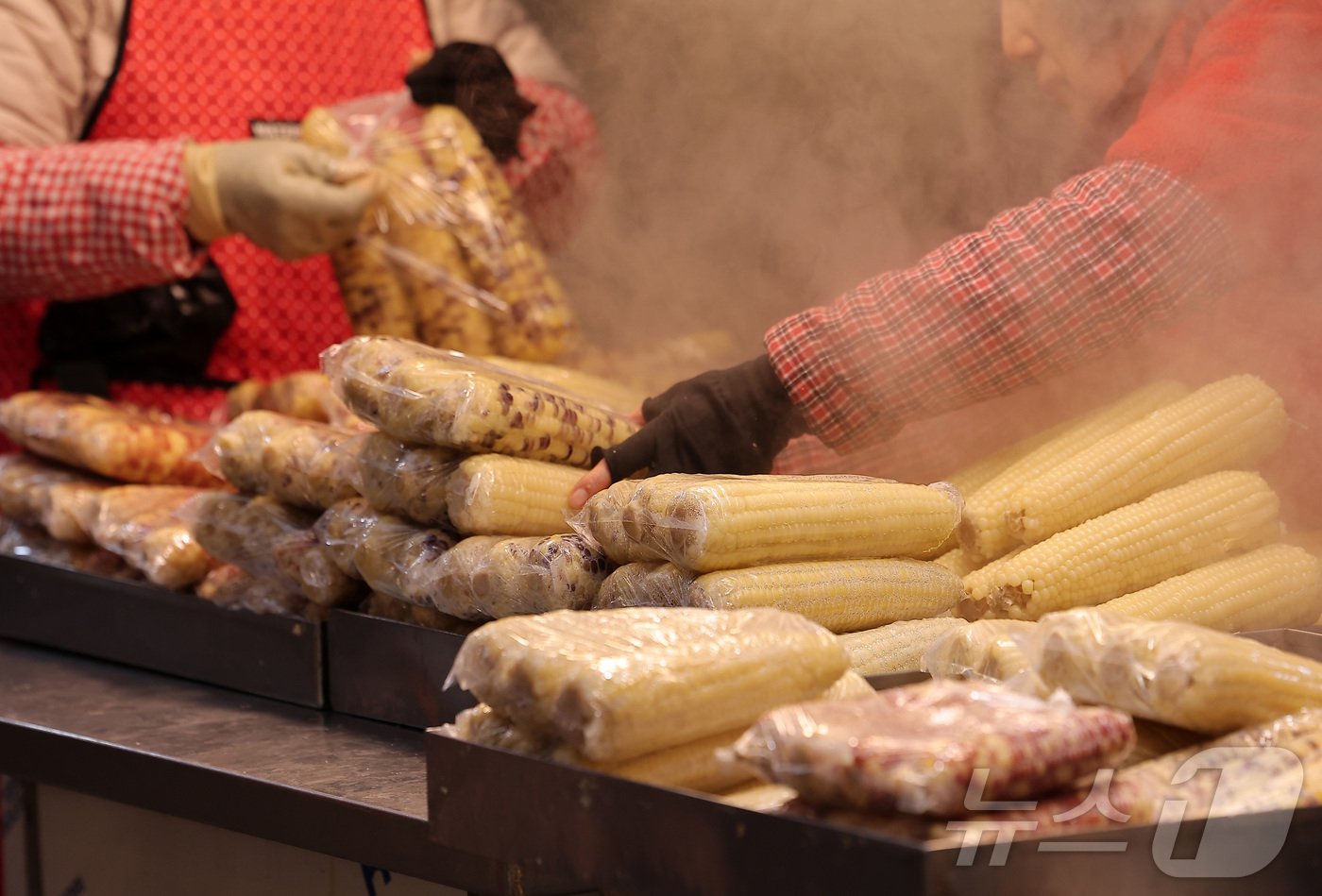 (서울=뉴스1) 김성진 기자 = 9일 서울 동대문구 경동시장에서 한 상인이 옥수수를 정리하고 있다.이재명 정부는 이날 열린 '2026년 경제성장전략'을 통해 밥상 물가 안정을 위한 …