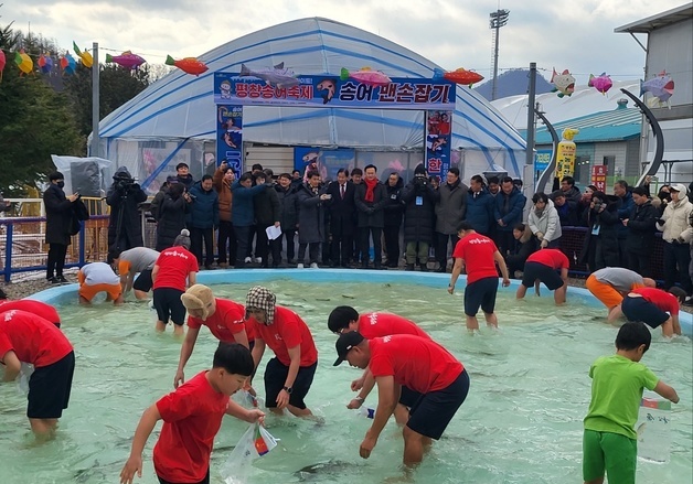 평창송어축제서 입수