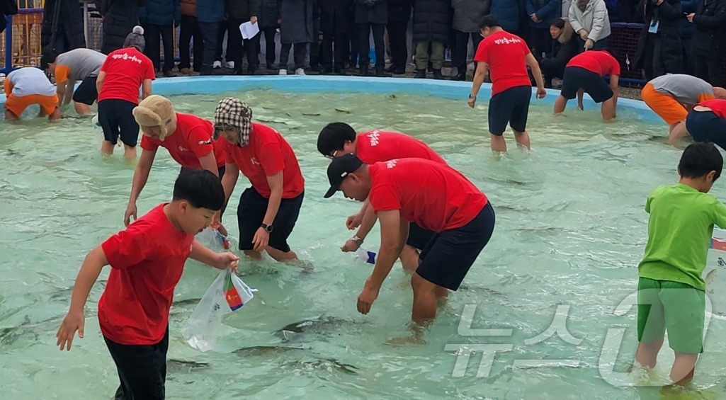 (평창=뉴스1) 신관호 기자 = 강원 평창군 대표 겨울축제인 제17회 평창송어축제가 9일 평창군 진부면 오대천 일원에서 개막한 가운데 관광객들이 축제장에서 맨손으로 송어를 잡는 프 …