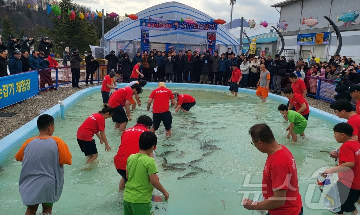 (평창=뉴스1) 신관호 기자 = 강원 평창군 대표 겨울축제인 제17회 평창송어축제가 9일 평창군 진부면 오대천 일원에서 개막한 가운데 관광객들이 축제장에서 맨손으로 송어를 잡는 프 …
