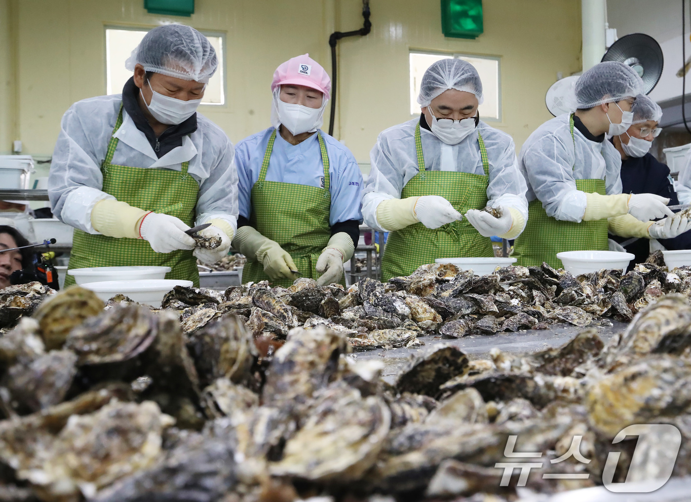 (거제=뉴스1) 윤일지 기자 = 정청래 더불어민주당 대표가 9일 오후 경남 거제 하청면 굴 가공업체인 대일수산을 방문해 굴 껍데기를 까는 작업인 박신작업을 하고 있다. 2026.1 …