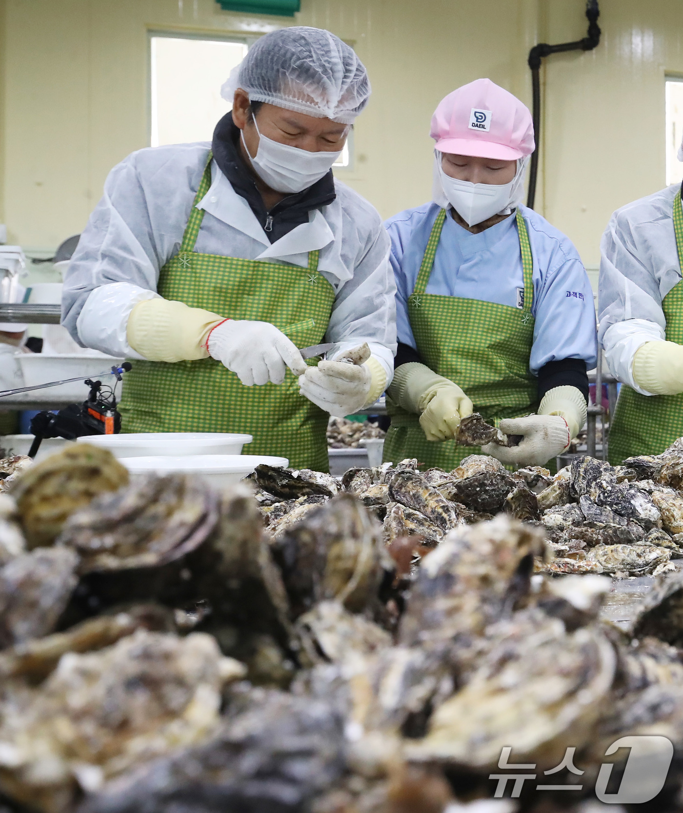 (거제=뉴스1) 윤일지 기자 = 정청래 더불어민주당 대표가 9일 오후 경남 거제 하청면 굴 가공업체인 대일수산을 방문해 굴 껍데기를 까는 작업인 박신작업을 하고 있다. 2026.1 …