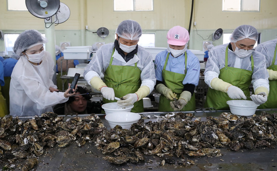 거제 굴 양식장 찾은 정청래