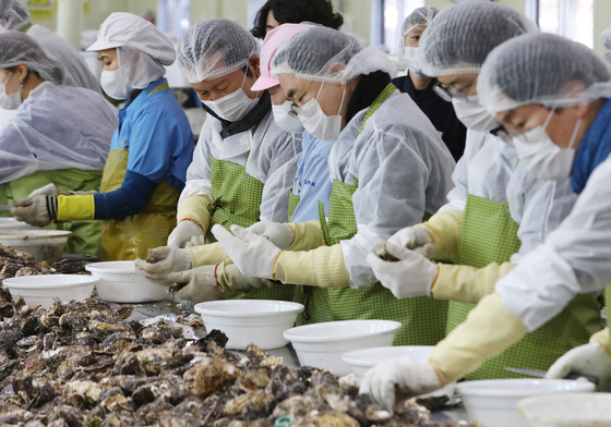정청래 민주당 대표, 거제 굴 양식장서 업계 현안 점검