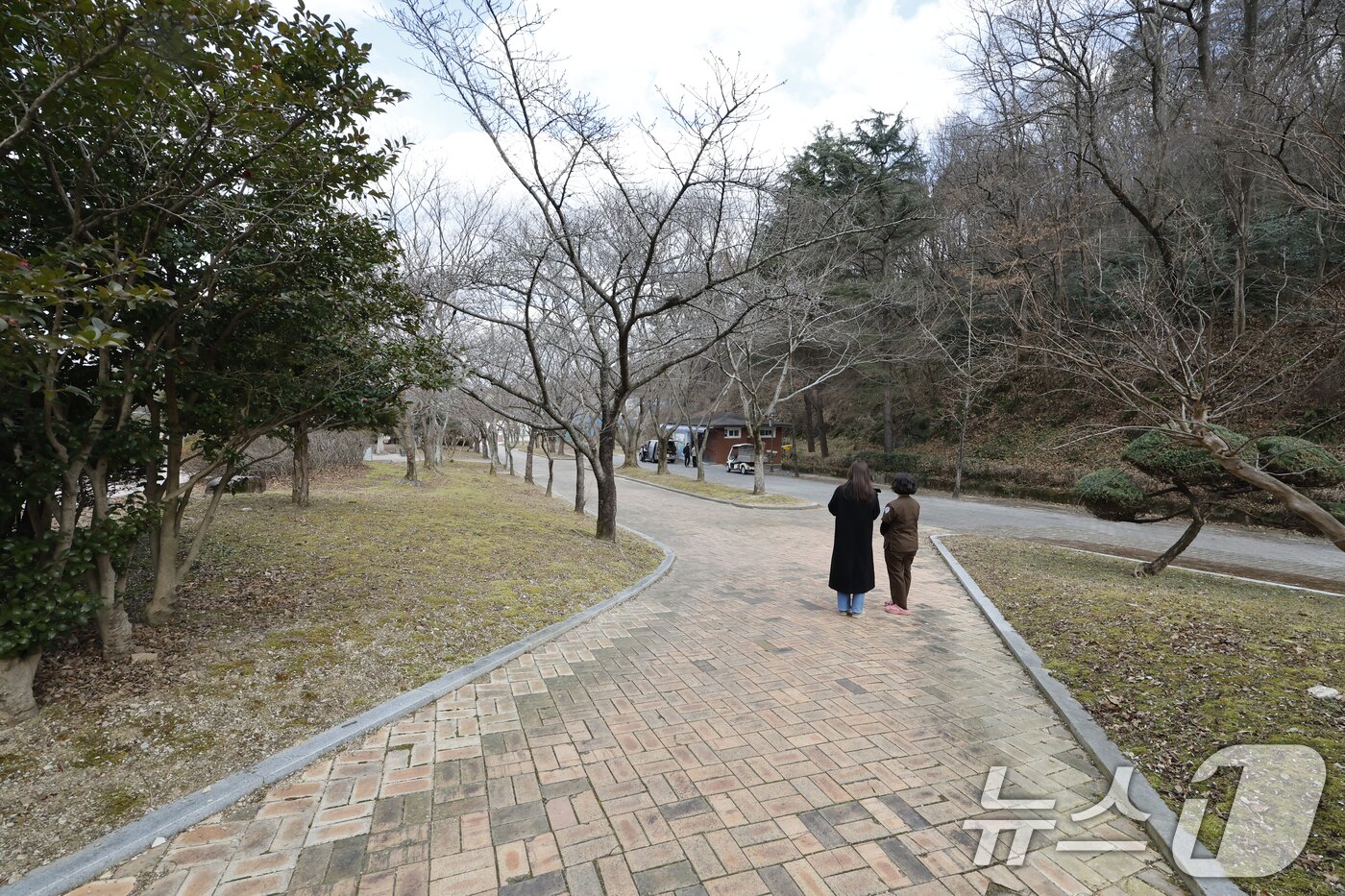 본문 이미지 - 9일 이재명 대통령이 시진핑 중국 국가주석에게 판다 한 쌍의 광주 우치동물원 대여를 제안한 가운데 대여가 성사 됐을때 들어설 광주 우치동물원의 판다전용 사육시설이 들어설 부지. ⓒ News1 김태성 기자