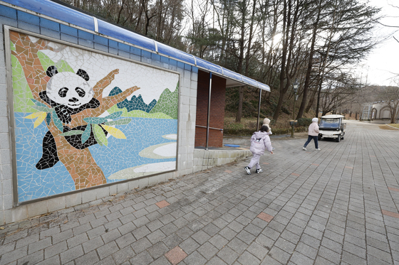 '푸바오 동생' 광주 오나?…우치동물원에 이미 '판다 벽화'