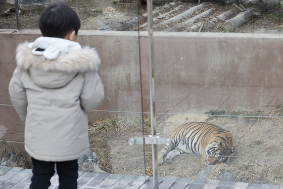 9일 밤부터 '눈폭탄' 쏟아진다…최대 20㎝ 쌓인 뒤 주말 -15도 한파