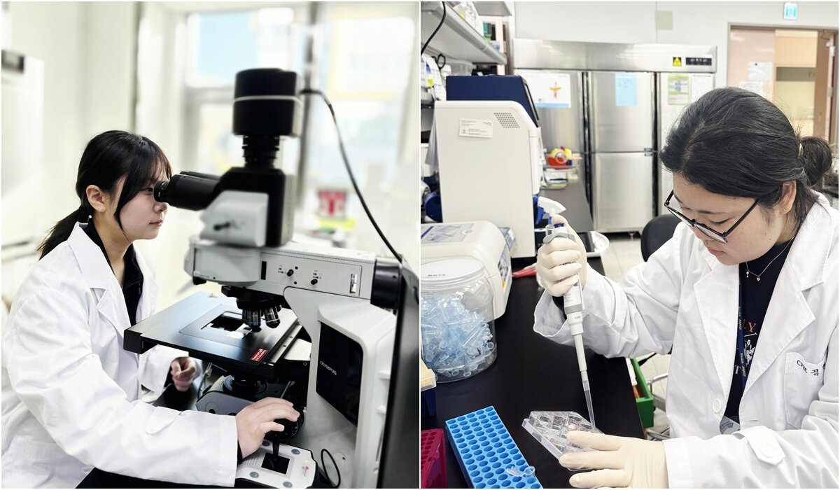 본문 이미지 - 남대 반려동물산업학과에서 선발된 재학생들이 대구경북과학기술원(DGIST) 핵심단백질자원센터에서 진행된 '3기 동계 연구 인턴십 프로그램'에 참여하며 실습을 하고 있다(호남대 제공). ⓒ 뉴스1