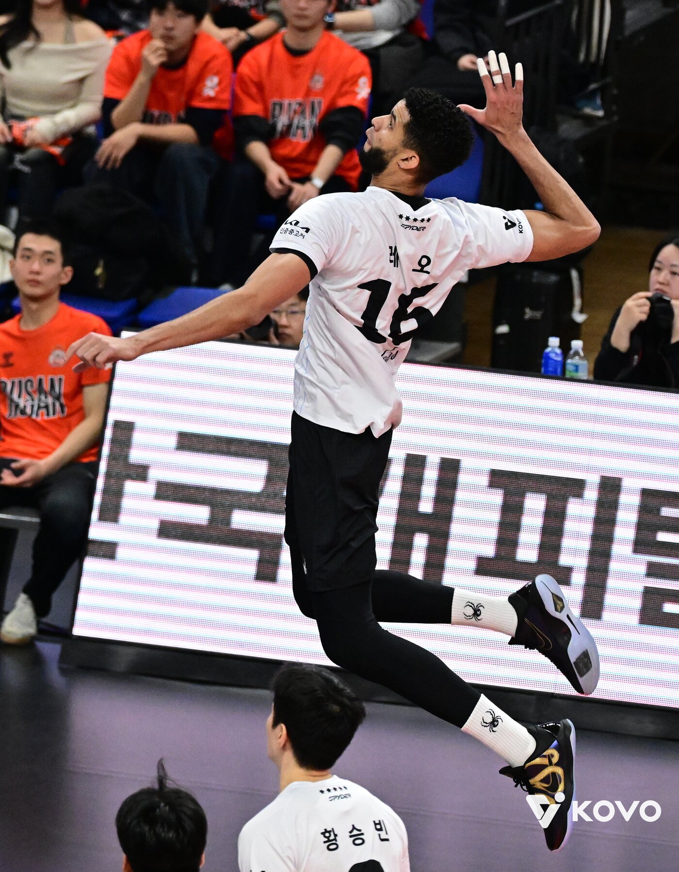 본문 이미지 -  서브 500개 성공 기록을 달성한 레오(KOVO제공)