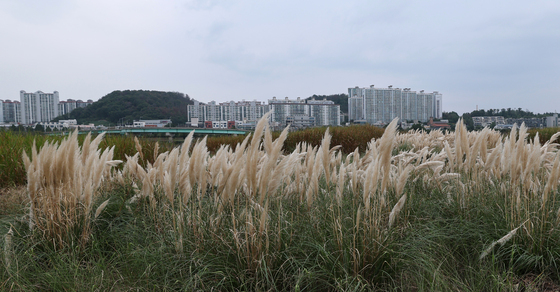 가을 속으로