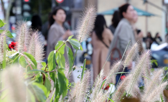 주말 아침도 최저 5도 '쌀쌀'…전국 일교차 15도 안팎[내일날씨]