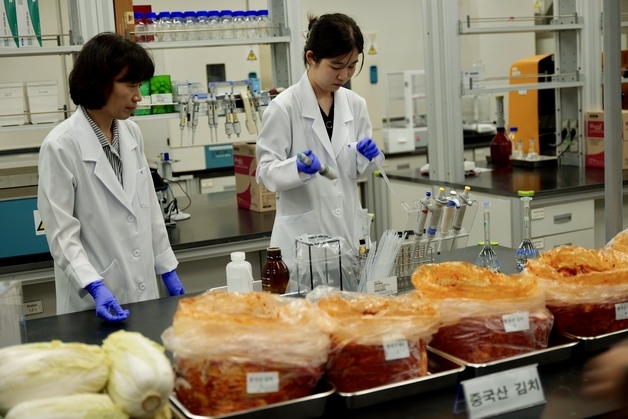 서울시, 중국산 배추·김치 검사…포름알데히드 '불검출'