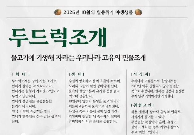 한반도 고유종 '두드럭조개', 10월 멸종위기 야생생물 선정