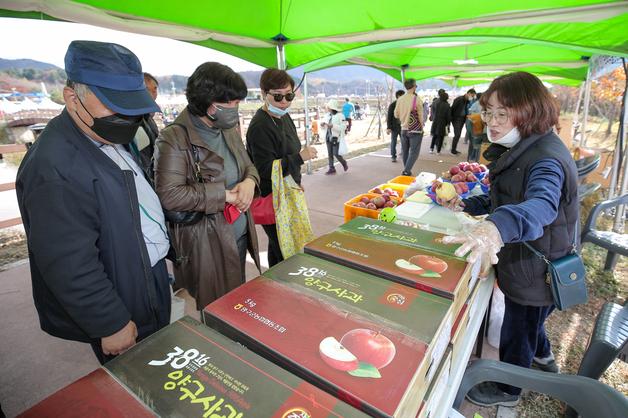 양구문화재단, '펀치볼 사과·시래기축제' 입점 부스 모집…12일까지