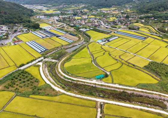 [오늘의 날씨] 울산(2일, 금)…아침 최저 13도 '쌀쌀', 일교차 커