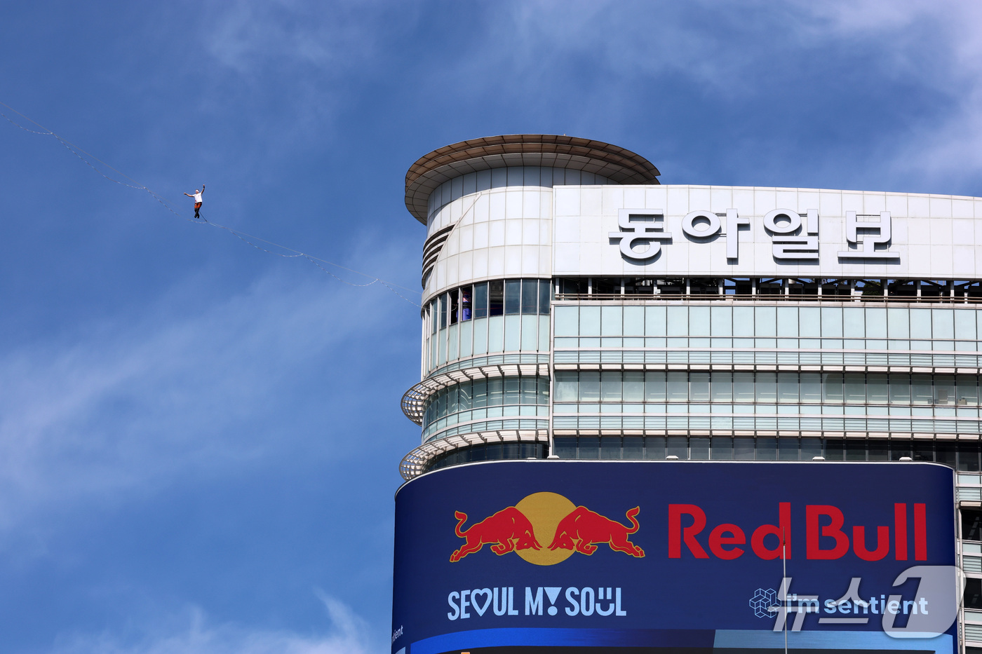 (서울=뉴스1) 박세연 기자 = 세계적인 레드불 슬랙라인 선수 얀 루스(JAAN ROOSE)가 1일 서울 광화문 도심 상공을 가로지르는 '레드불 서울 줄타기'를 선보이고 있다. 2 …