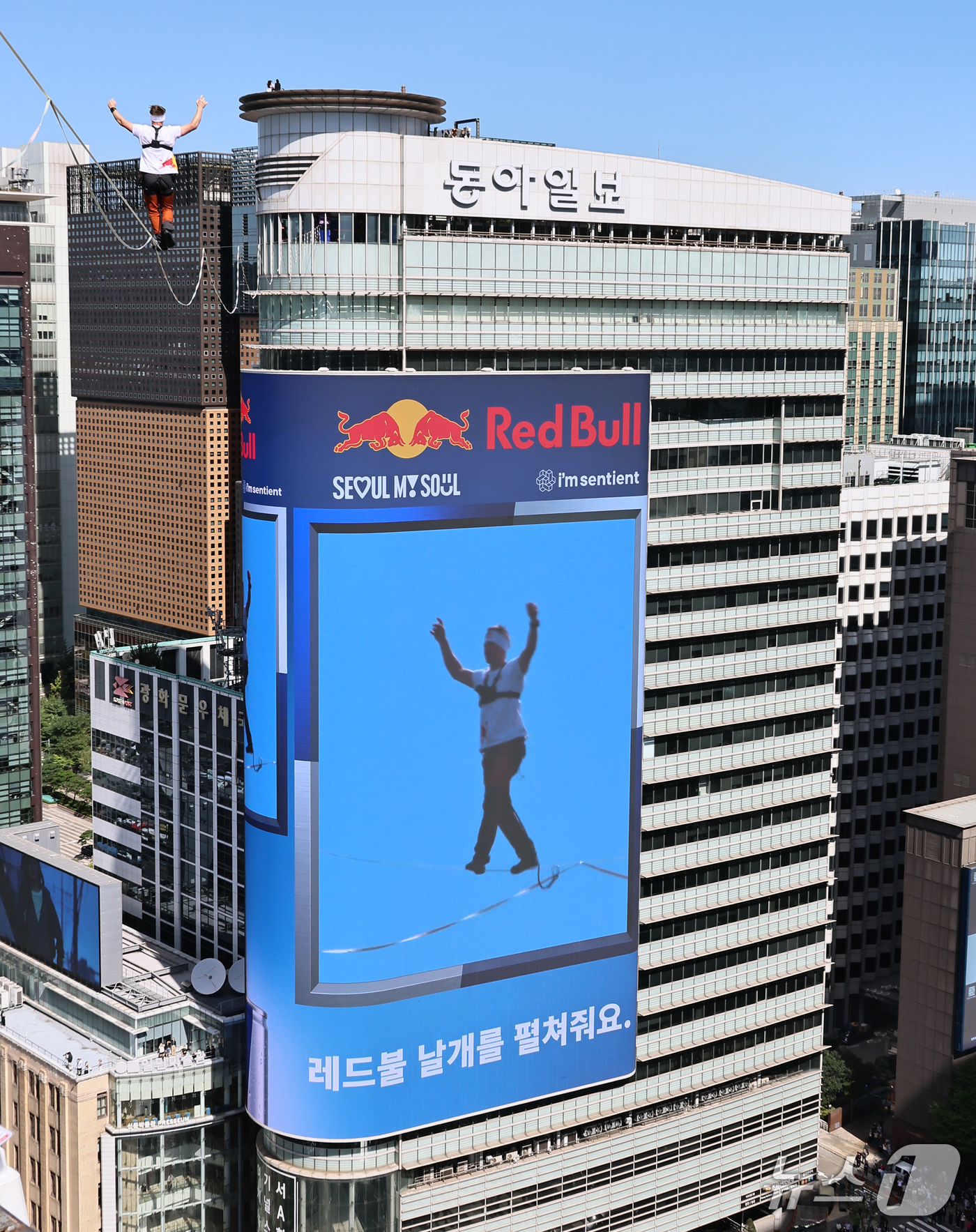 (서울=뉴스1) 박세연 기자 = 세계적인 레드불 슬랙라인 선수 얀 루스(JAAN ROOSE)가 1일 서울 광화문 도심 상공을 가로지르는 '레드불 서울 줄타기'를 선보이고 있다. ( …