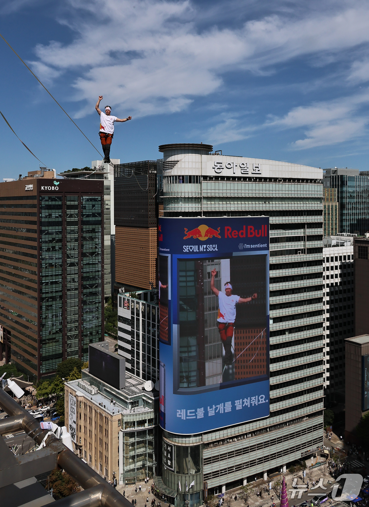 (서울=뉴스1) 박세연 기자 = 세계적인 슬랙라인 선수 얀 루스가 1일 서울 종로구 광화문네거리에서 열린 '레드불 서울 줄타기'에서 고공 줄타기를 하고 있다. 슬랙라인은 두 지점 …