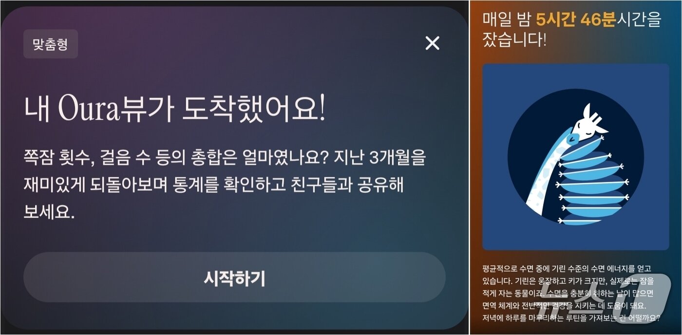 본문 이미지 - 90일 간의 건강수치 측정 결과를 분석해 다양한 인사이트를 제공하는 오우라링5(오우라 앱 갈무리)/뉴스1