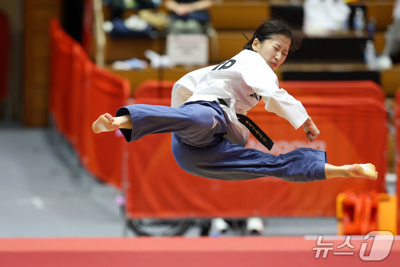 본문 이미지 - 대한민국 정하은이 1일 일본 도요하시 체육관에서 열린 2026 아이치·나고야 아시안게임 태권도 여자 개인 품새 결승전에서 경연을 펼치고 있다. 2026.10.1 ⓒ 뉴스1 안은나 기자