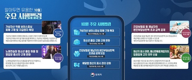 코인으로 뜯긴 보이스피싱 피해금도 돌려받는다…법령 84개 시행