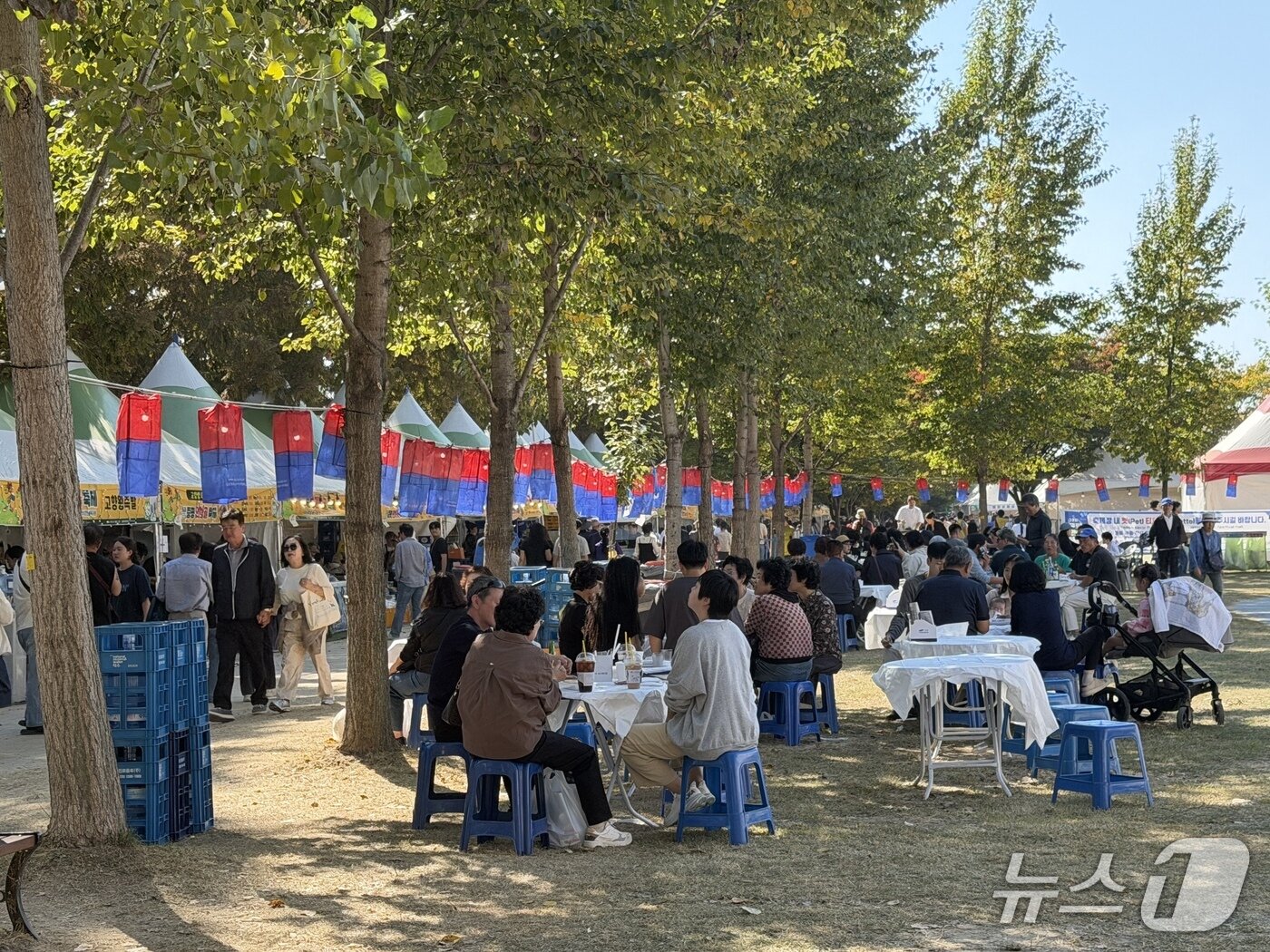 본문 이미지 - 10일 오후 증평인삼골축제장 찾은 관람객들. ⓒ 뉴스1 장예린 기자