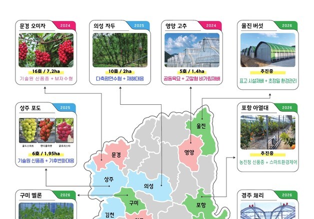 경북 특화작목에 신기술 입혔더니…고추 생산량 3.7배·양파 노동력 57%↓