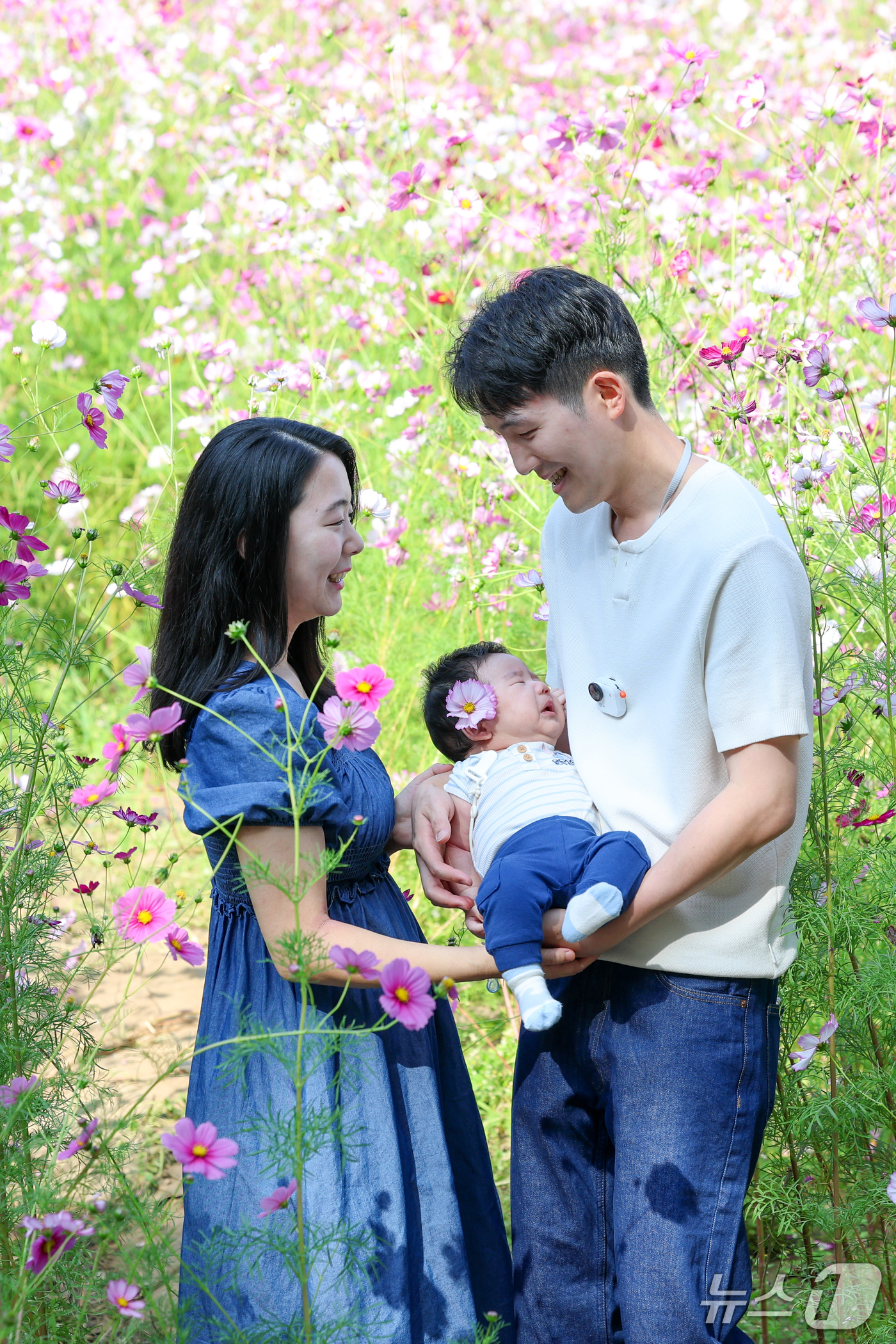 (서울=뉴스1) 안은나 기자 = 서울 낮 최고기온 27도로 가을 날씨 속 늦더위가 찾아온 11일 서울 송파구 올림픽공원 들꽃마루를 찾은 한 가족이 만개한 코스모스를 배경으로 추억을 …