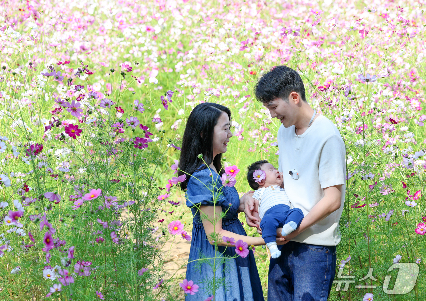 (서울=뉴스1) 안은나 기자 = 서울 낮 최고기온 27도로 가을 날씨 속 늦더위가 찾아온 11일 서울 송파구 올림픽공원 들꽃마루를 찾은 한 가족이 만개한 코스모스를 배경으로 추억을 …