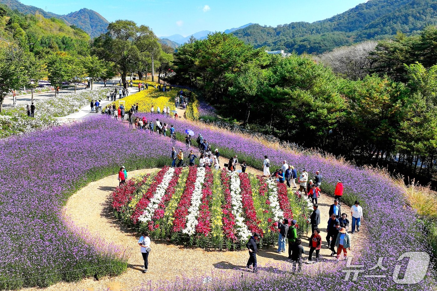 본문 이미지 - 강원 인제 북면 용대관광지 일원에서 열린 '2026 인제 가을꽃축제'를 찾은 방문객들이 형형색색의 가을꽃을 감상하며 축제를 즐기고 있다. (뉴스1 자료사진)